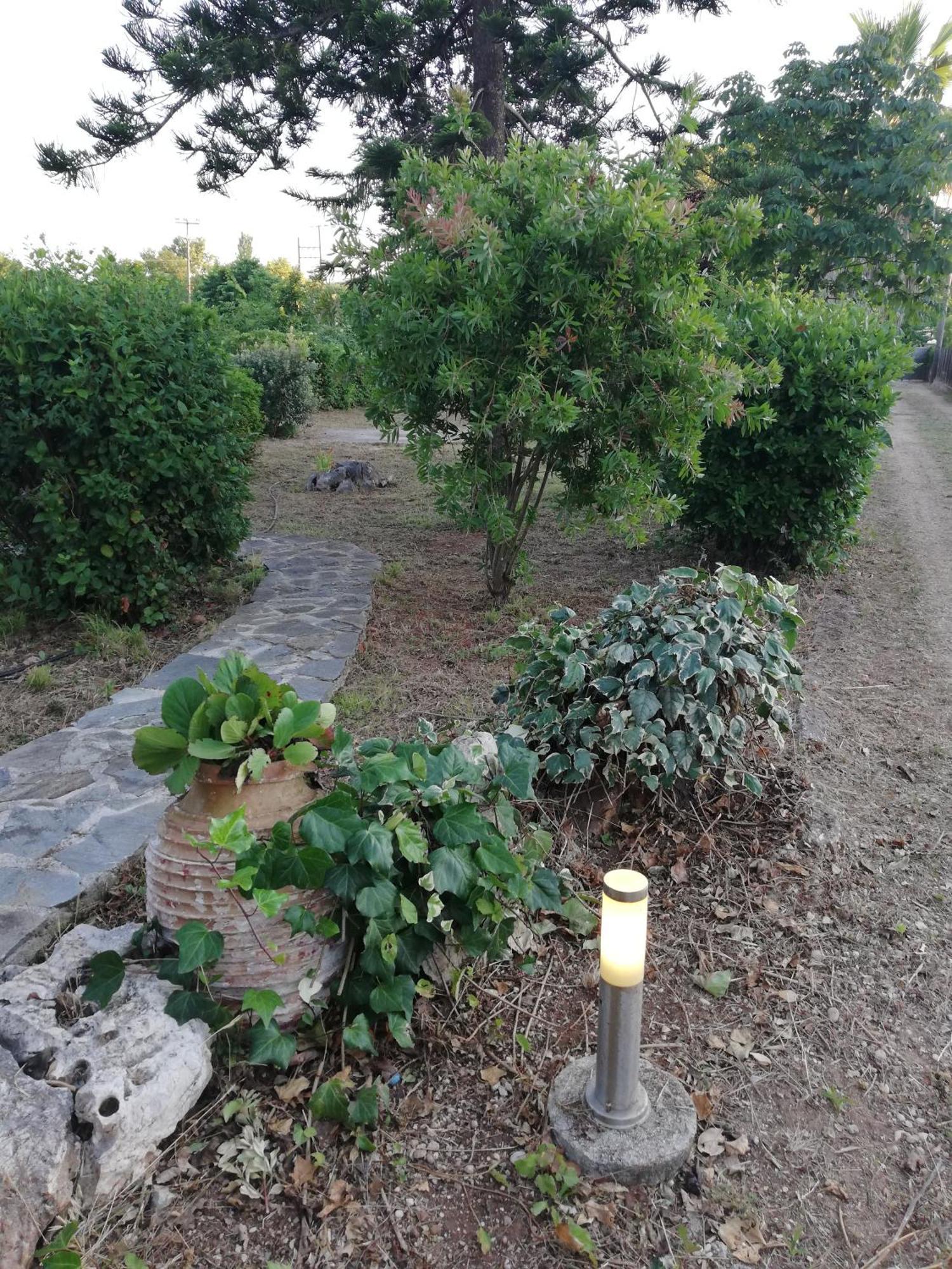 Villa Oneiropagida Превеза Экстерьер фото