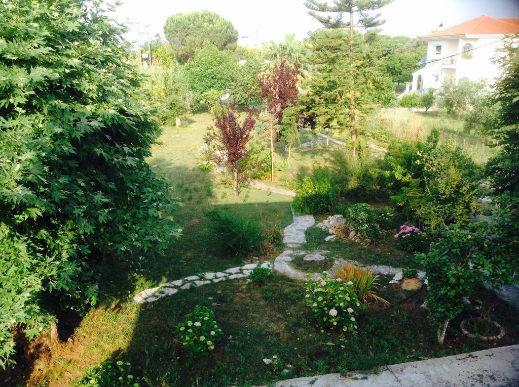 Villa Oneiropagida Превеза Экстерьер фото